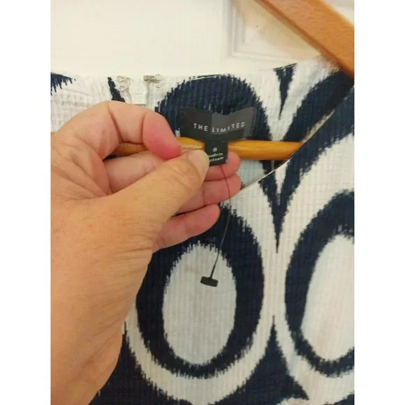 Nwot Women's The Limited Aline Pleated Drop Waist Dress With Pockets Size 8 - Picture 4 of 11